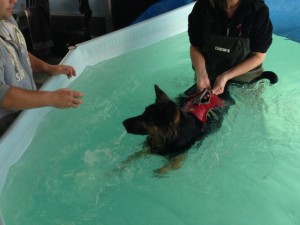 Leyla doing Hydrotherapy - 2