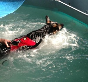 Leyla doing Hydrotherapy - 3