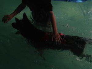 Leyla doing Hydrotherapy - 4